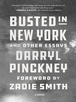 cover image of Busted in New York and Other Essays